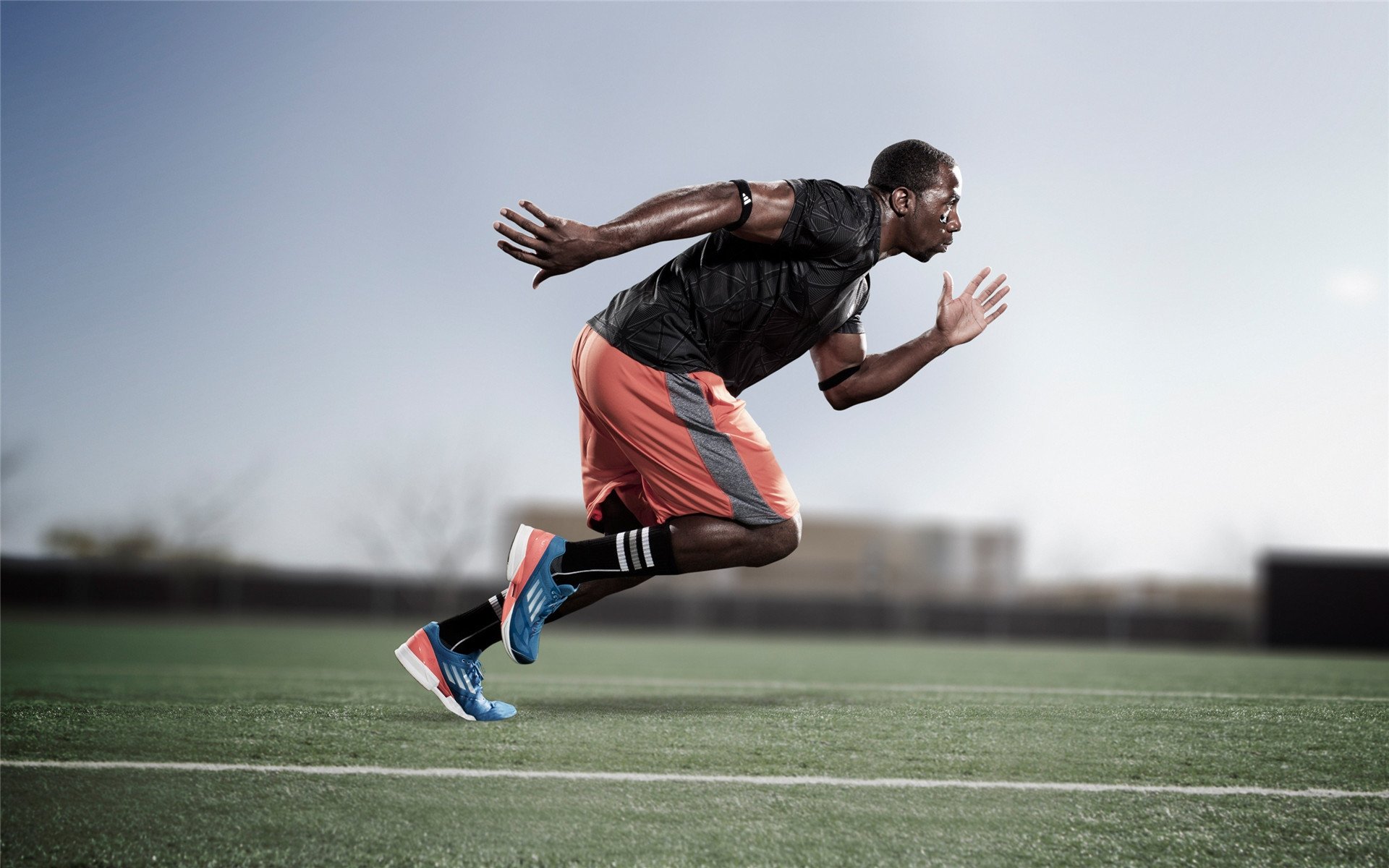 冰火两重天,福克斯逆境绽放,绿军灼伤太阳